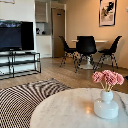 One Bedroom Flat By The With Cooling And Terrace